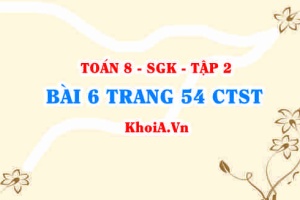 Bài 6 trang 54 Toán 8 Chân trời sáng tạo Tập 2